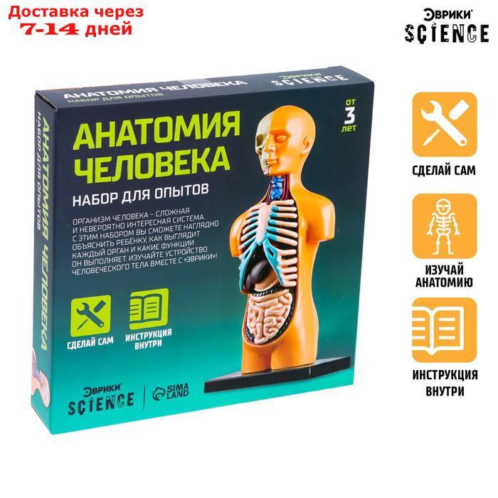 Научный опыт "Анатомия человека" - фото 1 - id-p136218781