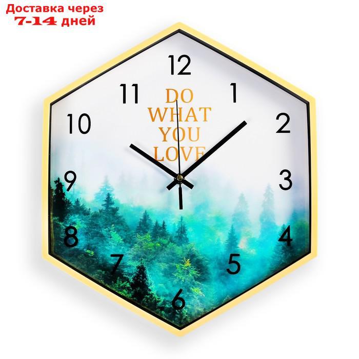 Часы настенные, серия: Природа, "Озетт", шестиугольные, 34х39 см