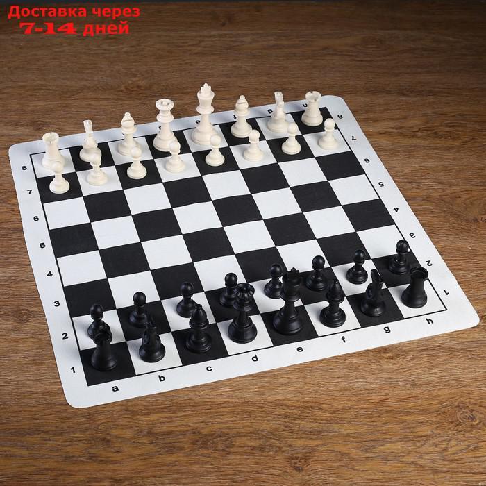 Шахматы в пакете, фигуры пластик (пешка h=4.5см, ферзь h=9.5см) + поле текстильное - фото 1 - id-p175555820