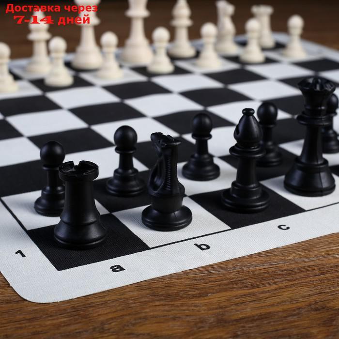 Шахматы в пакете, фигуры пластик (пешка h=4.5см, ферзь h=9.5см) + поле текстильное - фото 2 - id-p175555820