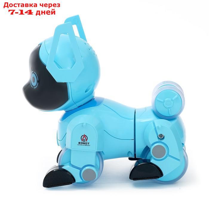 Робот-собака радиоуправляемый "Паппи", световые и звуковые эффекты, работает от аккумулятора, цвет голубой - фото 2 - id-p154473493