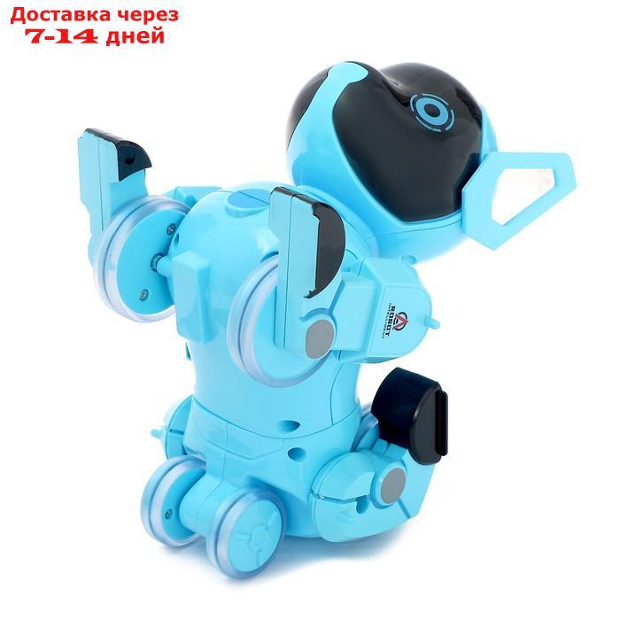 Робот-собака радиоуправляемый "Паппи", световые и звуковые эффекты, работает от аккумулятора, цвет голубой - фото 4 - id-p154473493