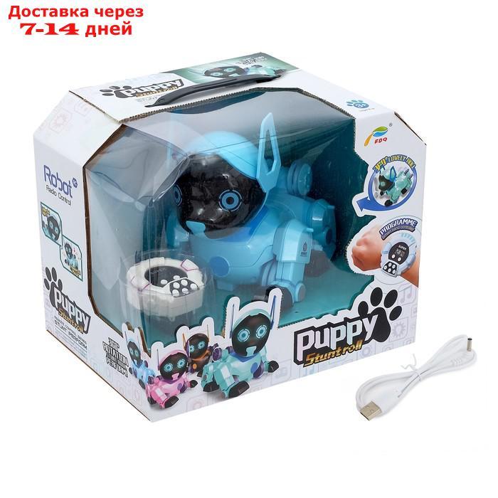 Робот-собака радиоуправляемый "Паппи", световые и звуковые эффекты, работает от аккумулятора, цвет голубой - фото 6 - id-p154473493