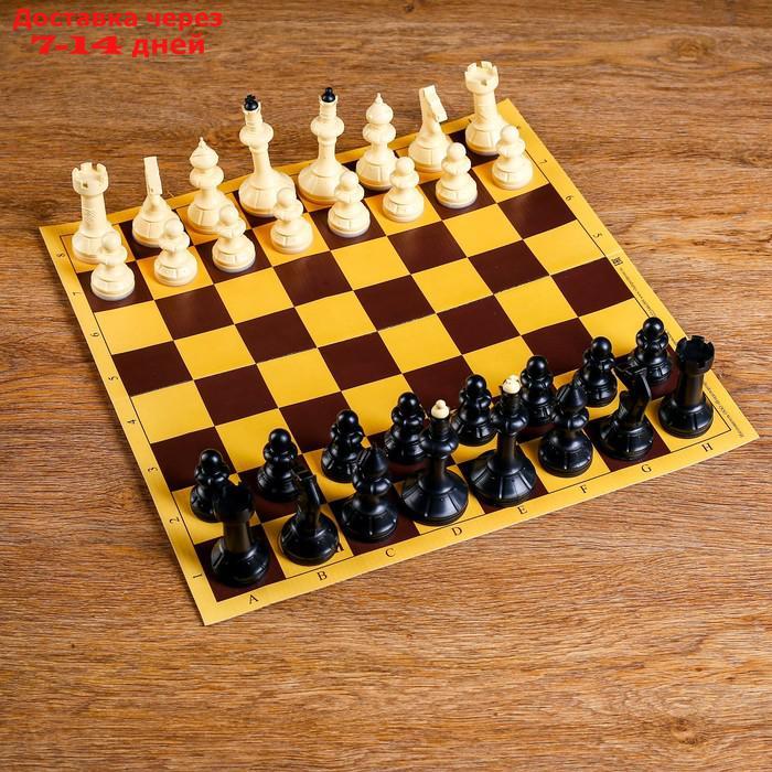 Шахматы "Русские игры" (доска из микрогофры 40х40 см, фигуры пластик, король h=10.2 см) - фото 1 - id-p175027057