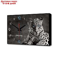 Часы настенные, серия: Природа, "Леопард", 1 АА, плавный ход, 57х35х4 см