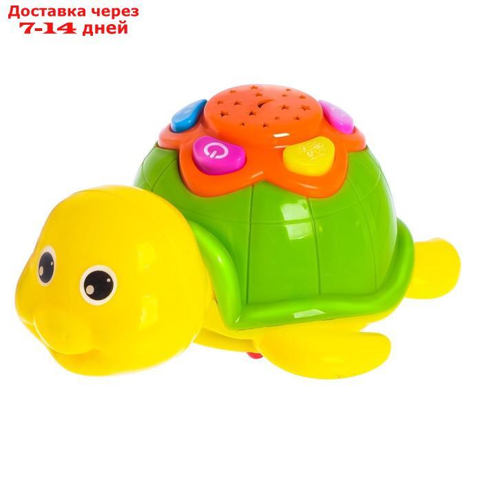 Музыкальная игрушка "Черепаха", световые и звуковые эффекты - фото 2 - id-p136218350