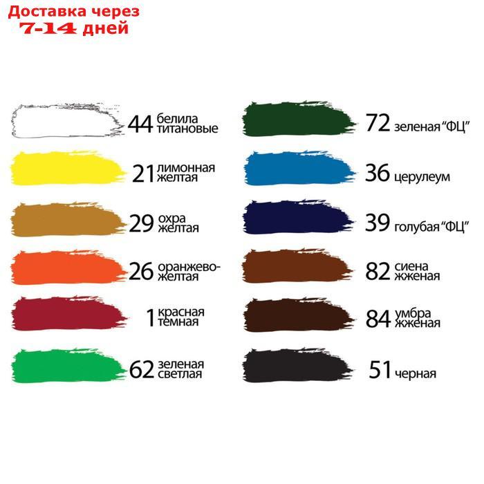 Краска акриловая, набор 12 цветов по 12 мл, BRAUBERG, профессиональная серия - фото 3 - id-p176444354
