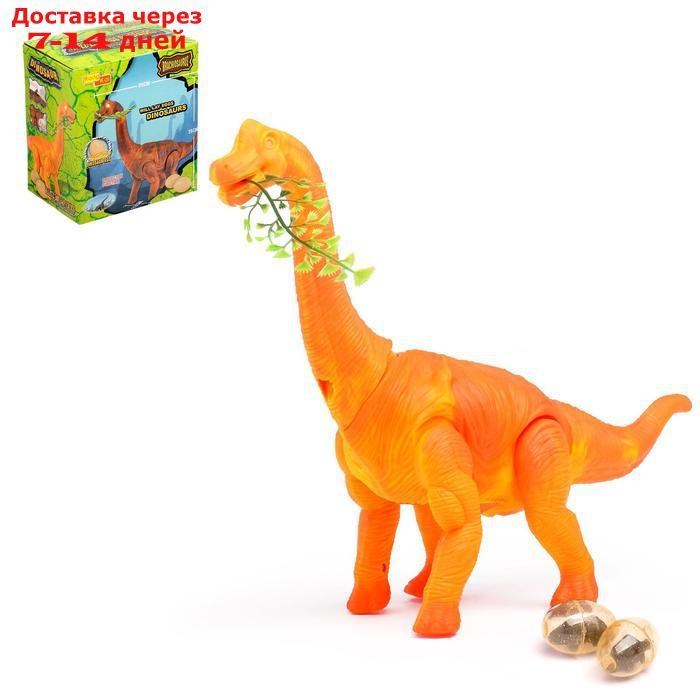 Динозавр "Брахиозавр травоядный", работает от батареек, откладывает яйца, с проектором, цвет МИКС