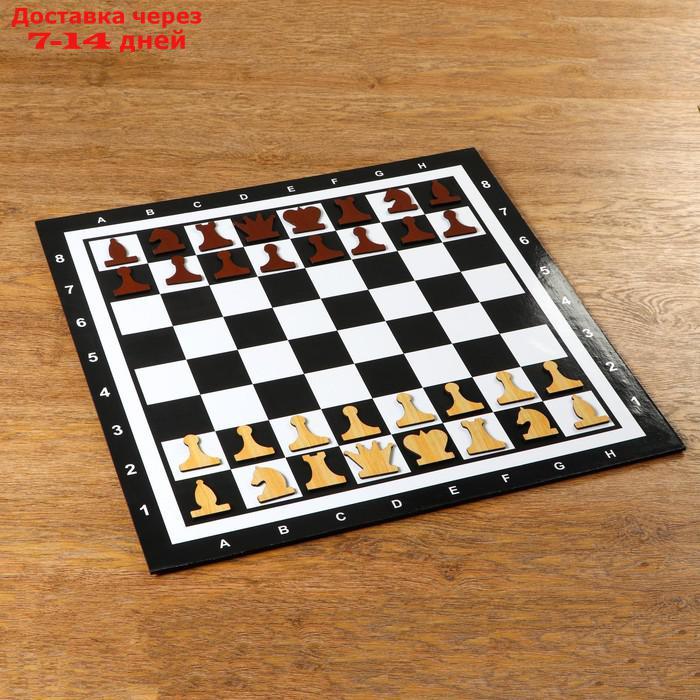 Демонстрационные шахматы на магнитной доске, 60х60 см - фото 2 - id-p168940062
