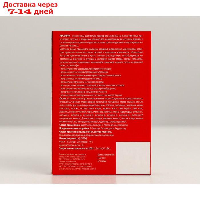 Капсулы натуральные Recardio для сердечно-сосудистой системы, № 20*500 мг - фото 3 - id-p179670692