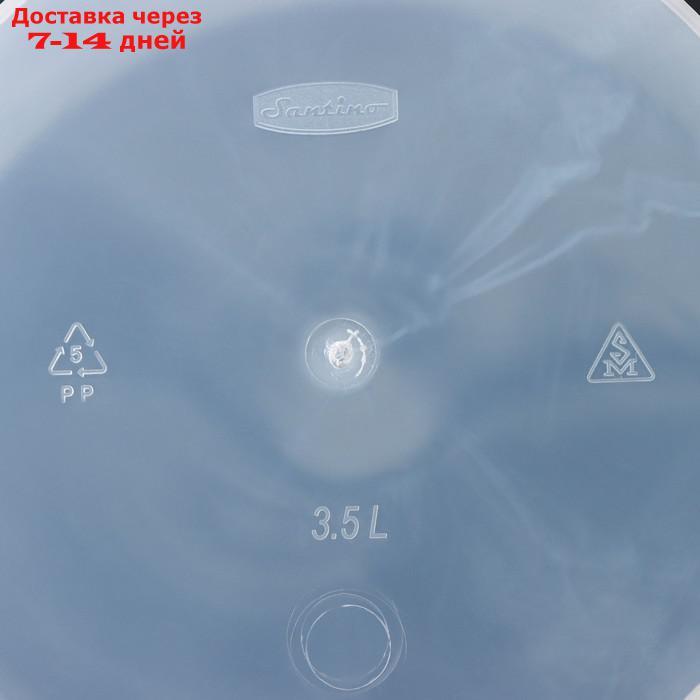 Кашпо со вставкой Santino "Арте", 3,5 л, цвет прозрачный - фото 5 - id-p175941081