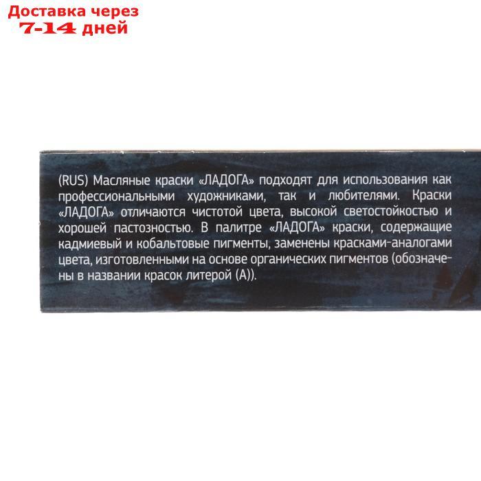 Набор художественных масляных красок "Ладога", 8 цветов, 18 мл, в тубах - фото 3 - id-p168942048