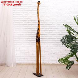 Сувенир "Жираф Гигант", 2 м