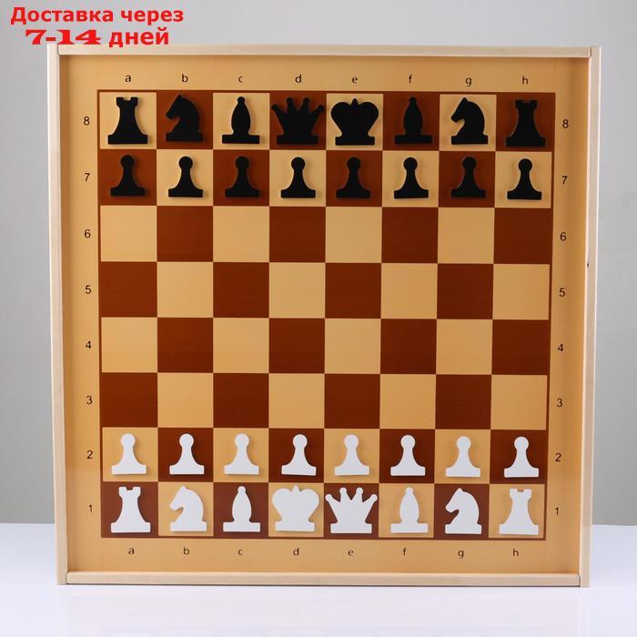 Шахматы и шашки демонстрационные магнитные 73х73х3.5 см - фото 1 - id-p156277478