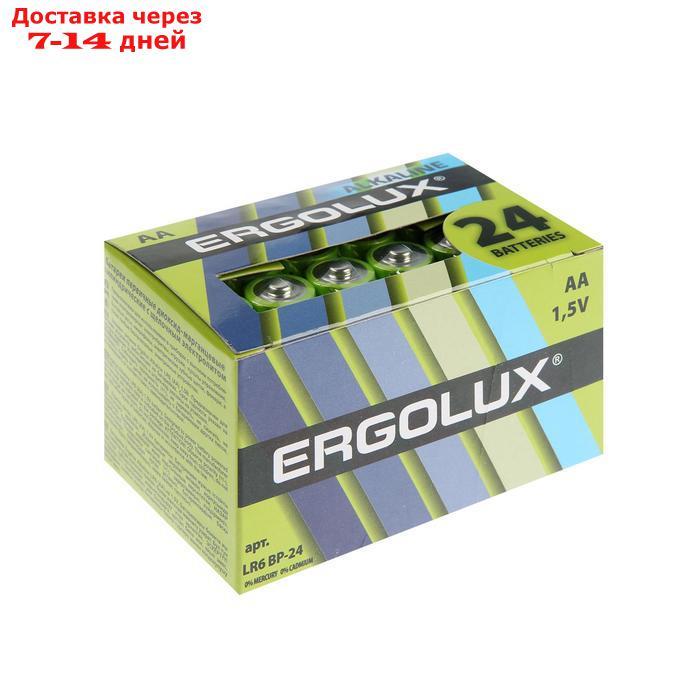 Батарейка алкалиновая Ergolux, AA, LR6-24BOX (LR6 BP-24), 1.5В, набор 24 шт. - фото 3 - id-p102522312
