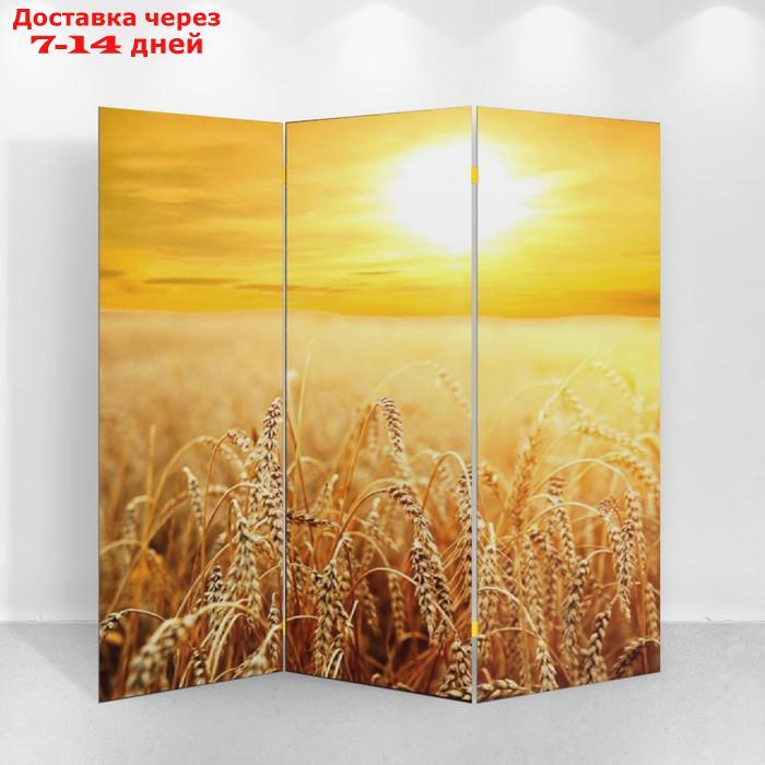 Ширма "Пшеничное поле", 160 × 150 см - фото 1 - id-p185681407