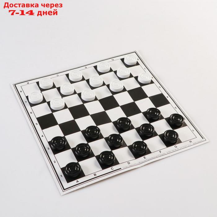 Набор 3в1: лото, шашки, домино - фото 2 - id-p157189953