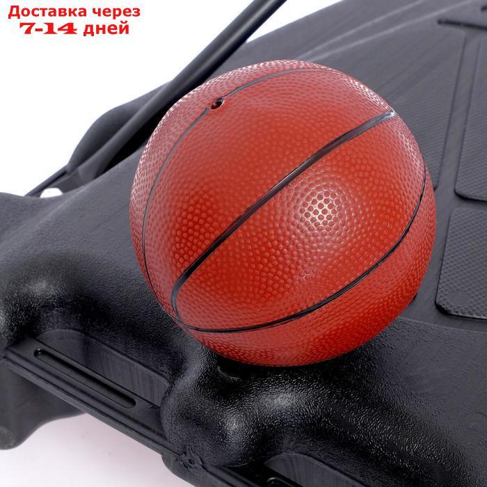 Набор для баскетбола "Профи", высота от 180 до 230 см - фото 5 - id-p161456823