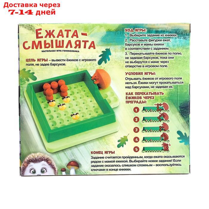 Настольная игра головоломка "Ежата-смышлята", задания с ответами, 5 уровней сложности - фото 6 - id-p136220350
