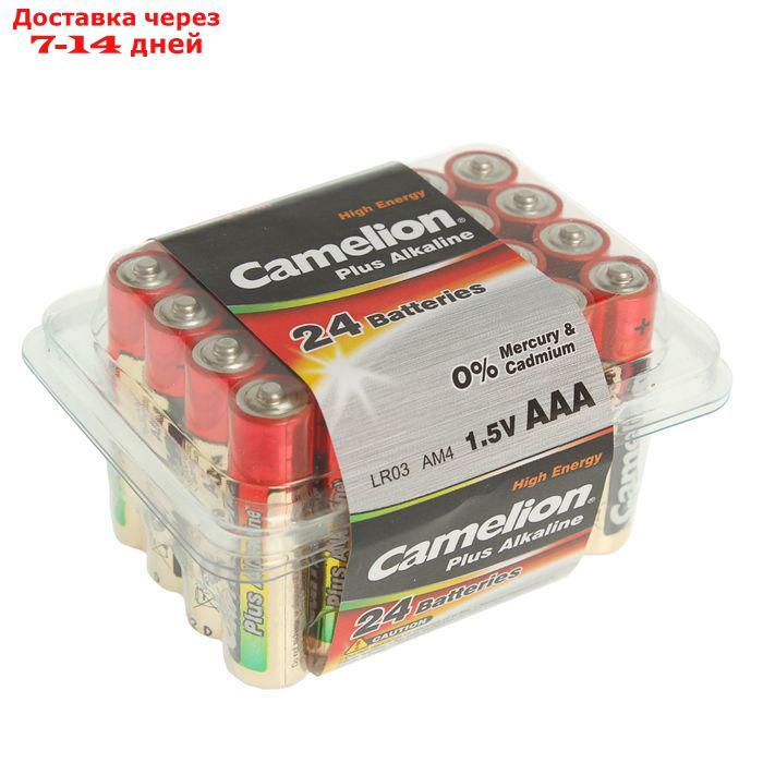 Батарейка алкалиновая Camelion Plus Alkaline, AAA, LR03-24BOX (LR03-PB24), 1.5В, набор 24 шт. 274985 - фото 1 - id-p102522332