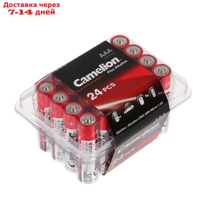 Батарейка алкалиновая Camelion Plus Alkaline, AAA, LR03-24BOX (LR03-PB24), 1.5В, набор 24 шт. 274985 - фото 2 - id-p102522332