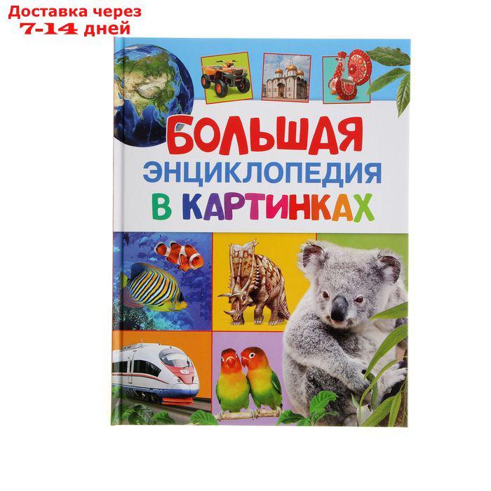 Большая энциклопедия в картинках - фото 1 - id-p115796693