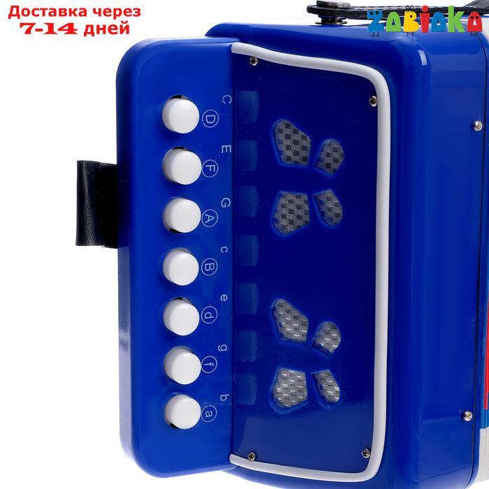 Музыкальная игрушка "Гармонь", цвет синий - фото 4 - id-p136218887