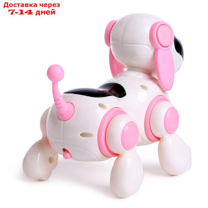 Собачка-робот "Умная Лотти", ходит, поёт, работает от батареек, цвет розовый - фото 4 - id-p175940004