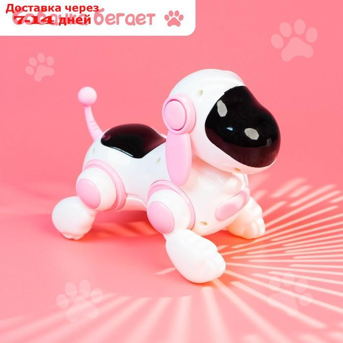 Собачка-робот "Умная Лотти", ходит, поёт, работает от батареек, цвет розовый - фото 6 - id-p175940004