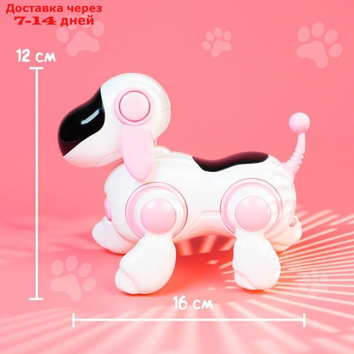 Собачка-робот "Умная Лотти", ходит, поёт, работает от батареек, цвет розовый - фото 7 - id-p175940004