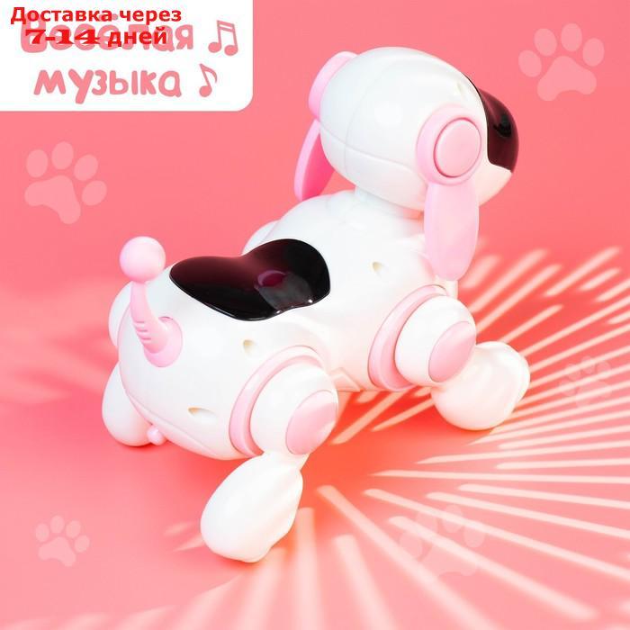 Собачка-робот "Умная Лотти", ходит, поёт, работает от батареек, цвет розовый - фото 8 - id-p175940004