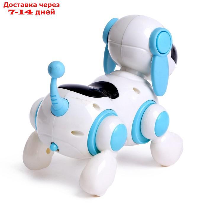 Собачка-робот "Умный Тобби", ходит, поёт, работает от батареек, цвет голубой - фото 3 - id-p166608197
