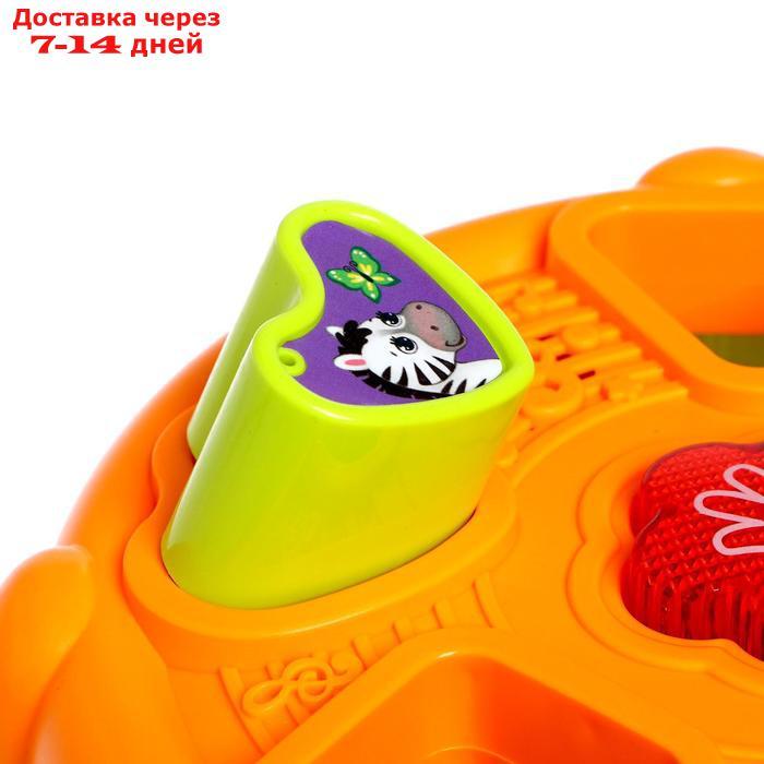 Развивающая игрушка "Музыкальный сортер" звук, цвет МИКС - фото 4 - id-p136218253