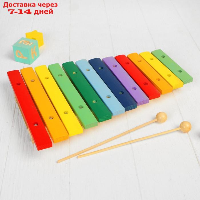 Музыкальная игрушка "Ксилофон", 12 тонов + 2 палочки - фото 2 - id-p183736171