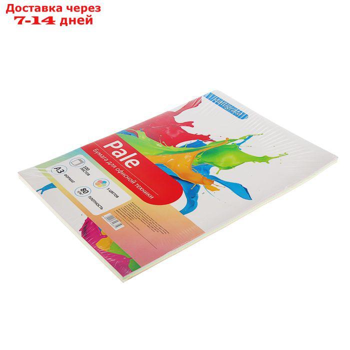 Бумага цветная А3, 100 листов Calligrata Пастель, 5 цветов, 80 г/м² - фото 2 - id-p169428072