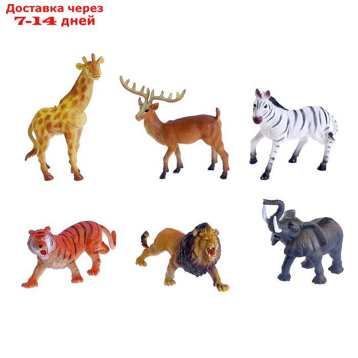 Набор животных "Загадочный мир животных", 6 фигурок