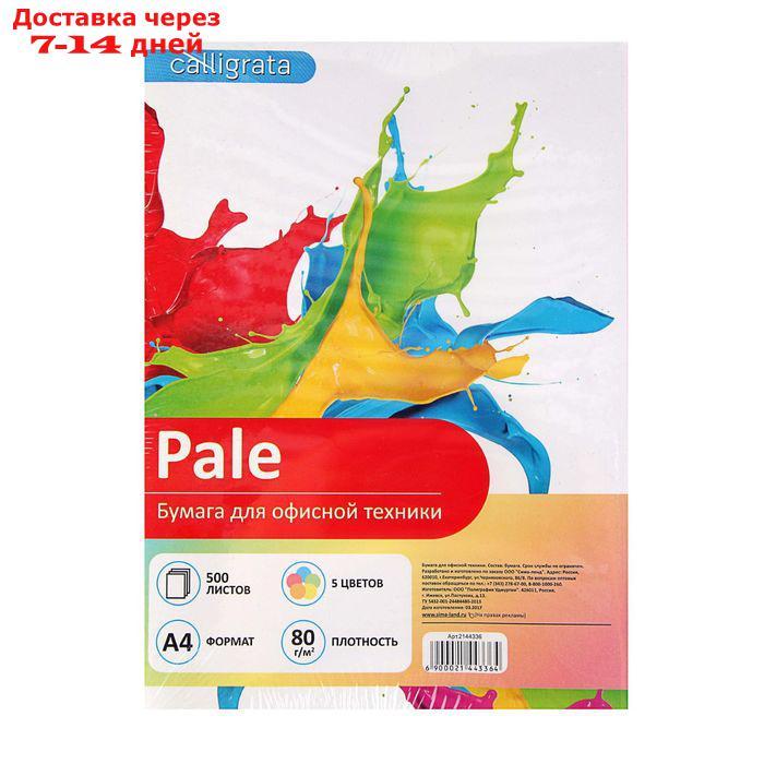 Бумага цветная А4, 500 листов Calligrata Пастель, 5 цветов, 80 г/м² - фото 1 - id-p169428154