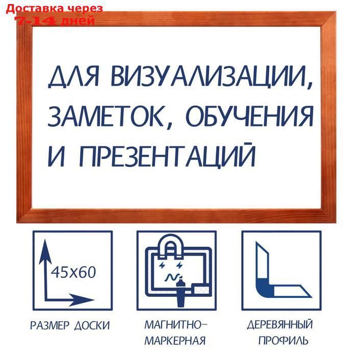 Доска магнитно-маркерная Calligrata, 45 х 60 см, в деревянной рамке, морилка тёмная - фото 1 - id-p172346930