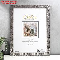 Фоторамка пластик Gallery 30х40 см, 651628 металлик