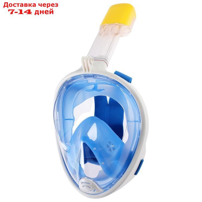 Маска для снорклинга, маска 19 х 26, трубка 25 см, взрослая, размер L/XL, цвет синий - фото 2 - id-p184487731