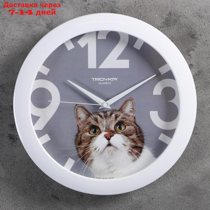 Часы настенные, серия: Животный мир, "Кот", белый обод, 29х29 см - фото 1 - id-p177914549