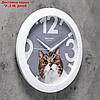 Часы настенные, серия: Животный мир, "Кот", белый обод, 29х29 см, фото 2