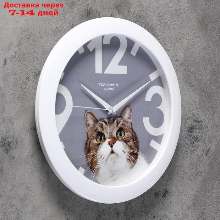 Часы настенные, серия: Животный мир, "Кот", белый обод, 29х29 см - фото 2 - id-p177914549