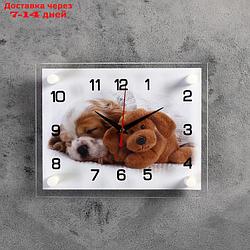 Часы настенные, серия: Животный мир, "Щенок и мишка", 20х26 см микс