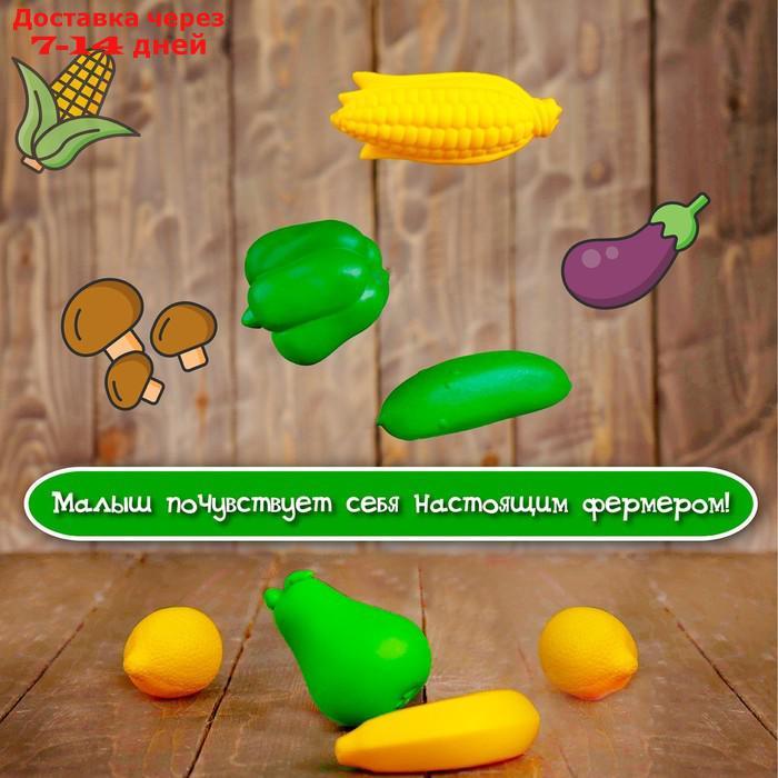 Набор для сортировки "Разноцветный урожай", по методике Монтессори - фото 2 - id-p155331318