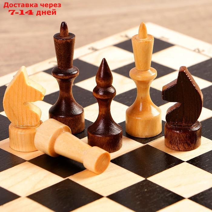 Шахматы "Школьник" (доска дерево 29х29 см,фигуры дерево,король h=7.2 см,пешка h=4.5 см) микс - фото 2 - id-p99850807