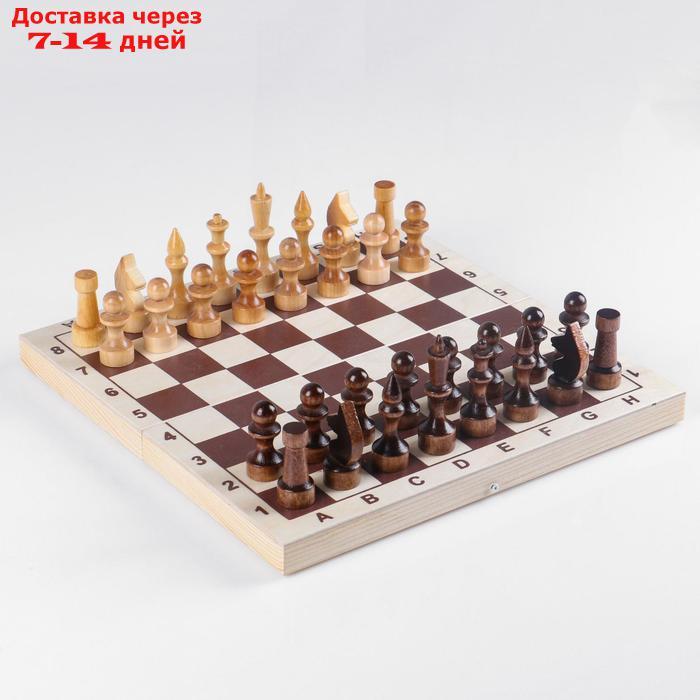 Шахматы "Школьник" (доска дерево 29х29 см,фигуры дерево,король h=7.2 см,пешка h=4.5 см) микс - фото 6 - id-p99850807