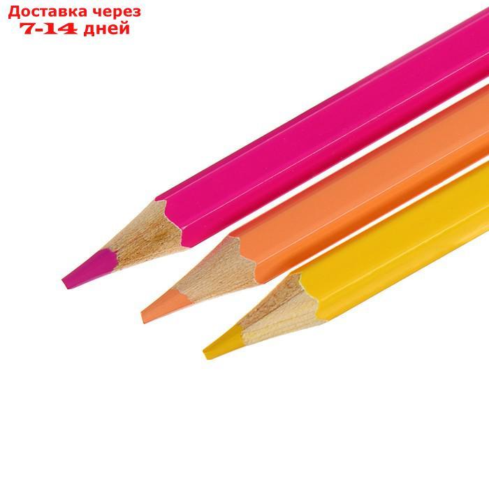 Цветные карандаши 24 цвета "Классика", шестигранные - фото 4 - id-p175595507