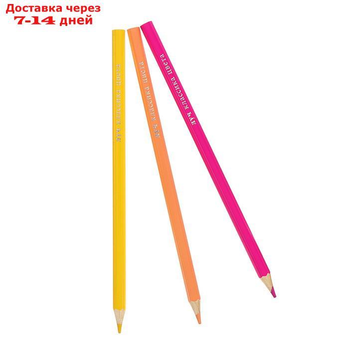 Цветные карандаши 24 цвета "Классика", шестигранные - фото 5 - id-p175595507