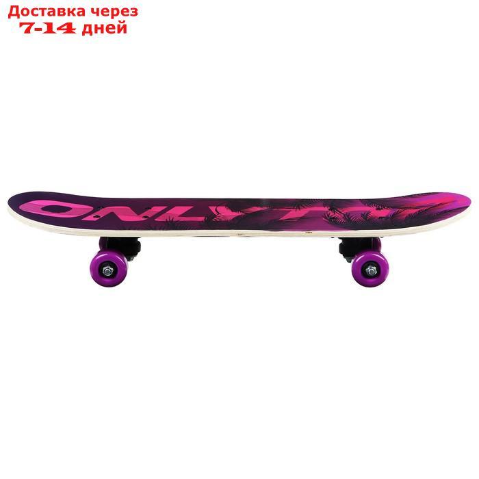 Скейтборд подростковый "Пальмы" 62 × 16 см, колёса PVC 50 мм, пластиковая рама - фото 3 - id-p155335638